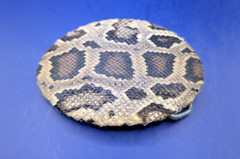 Real Burmese Python Snakeskin Belt Buckle Rolled Edge made in USA