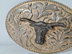 2 Tone Western Belt Buckle Dark Longhorn Steer on Floral Background Rope Border
