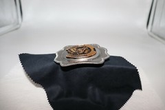 Horse in a Horseshoe Belt Buckle