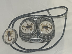 Silver tone Scorpion Belt Buckle and Bolo Set