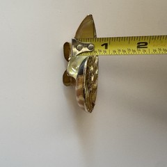 Vintage Nautilus Shell Belt Buckle Brown Gold Tone Coastal Beach