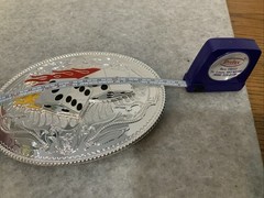 large dice belt buckle Sliver