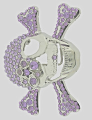 Skull Belt Buckles Crossbones Halloween Pirate Costume Bling Purple Rhinestones