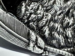 Belt Buckle Howling Wolf Moon Feathers Fenrir For 40mm Belt Pagan Norse Viking