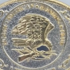 North American Hunting Club Life Member Oval Belt Buckle Silver & Gold Color