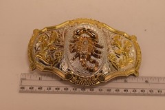 Western Scorpion Cowboy Cowgirl Rodeo Scorpio Unisex Large Gold Tone Belt Buckle