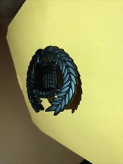 belt buckle