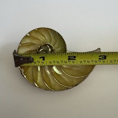 Vintage Nautilus Shell Belt Buckle Brown Gold Tone Coastal Beach