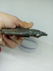 Vtg. Install 1978 Bronze Locomotive Train Belt Buckle. Antiq Finish.#1142. Heavy