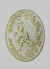 Rodeo Belt Buckle Gold Silver Metal Cowgirl Cowboy Men Women Vintage Texas State
