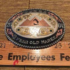 Frontier Brand WSQHA Q.H. Quarter Horse 2 Year Old Mares Trophy Belt Buckle