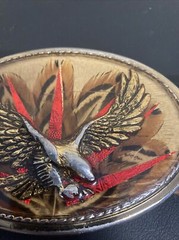 Vintage Belt Buckle Eagle Feathers Gold Resin with belt size 32