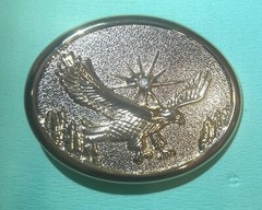 Eagle Flying with Diamond Studded Sun w Sunset Background Gold Tone Belt Buckle