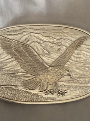 Vntg International Monetary Mint American Eagle Belt Buckle Numbered 14333