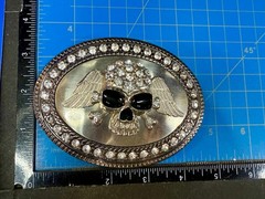 Skull Wings Crossbones with Clear Rhinestone Halloween Gothic LARGE Belt Buckle