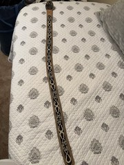 Western Bull Riding Belt Sz 38