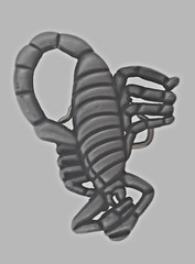 Scorpion Belt Buckle Zodiac Vintage Men Antiqued Brushed Gray Metal Western Gift