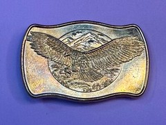 Patriotic Majestic American Eagle Flying Over Usa Mountains Vintage Belt Buckle