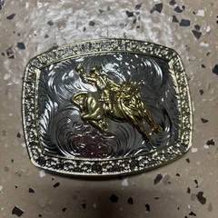 Rock Bull Ride Rodeo Cowboy Texas Western Shine Belt Buckle