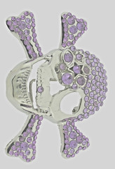 Skull Belt Buckles Crossbones Halloween Pirate Costume Bling Purple Rhinestones