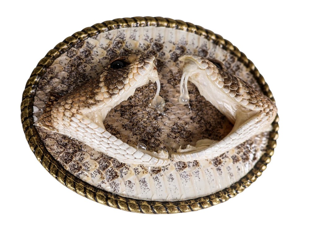 Real Rattlesnake Belt Buckle: Dueling heads in Oval (598-BB402-G6602)