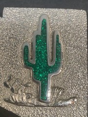 Arizona LAND OF ENCHANTMENT BELT BUCKLE Cactus – Green and Silver