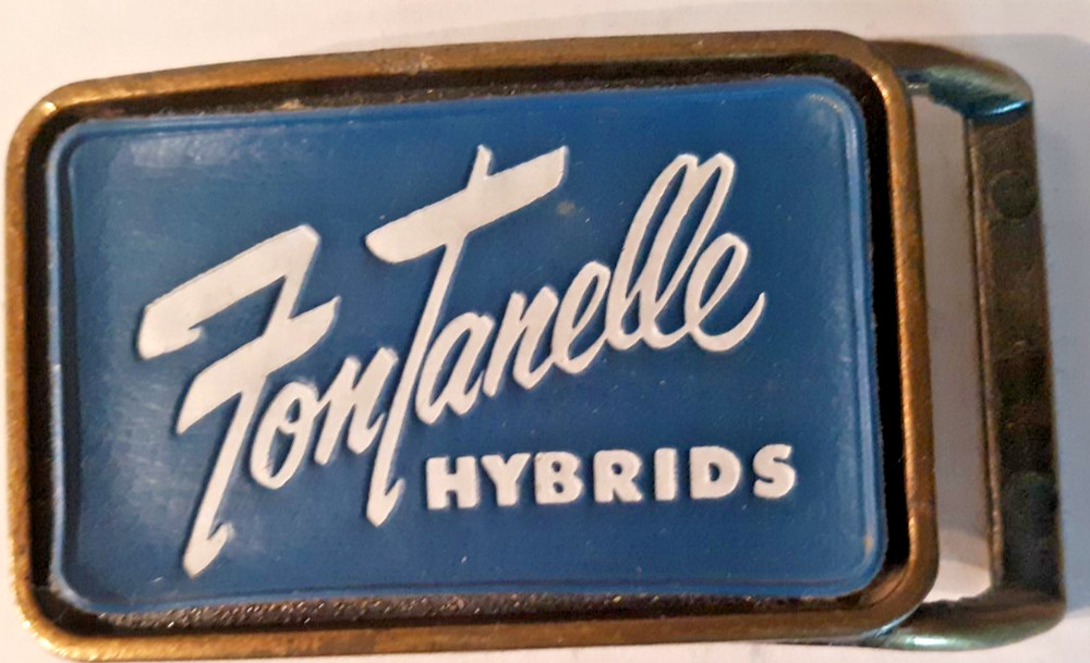belt buckle Fontanelle Hybrids brass blue leather insert 1970s 4&Prime; long