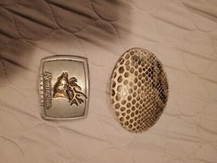 Real Rattlesnake Snakeskin Belt Buckle & Remington Country Buckle