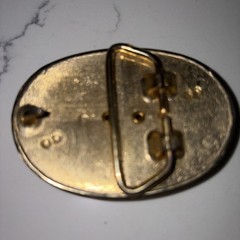 Vintage Gold Tone Western Belt Buckle Natural Polished Stone Center 3&Prime;×2&Prime;