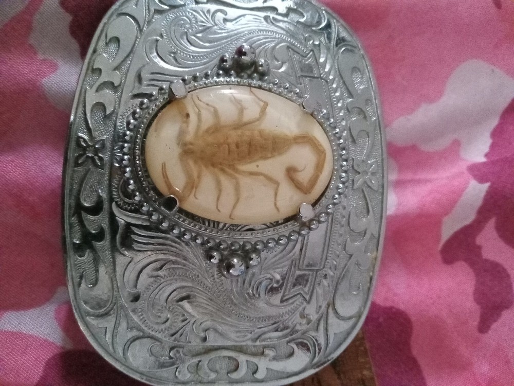 Scorpion Belt Buckle…Real Scorpion Forever Preserved…Oval Acrylic Overlay…Metal