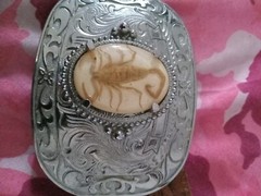 Scorpion Belt Buckle…Real Scorpion Forever Preserved…Oval Acrylic Overlay…Metal