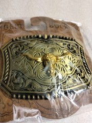 Western Rodeo, Bull Riding with 3-D Bull or Steer metal belt Buckle, New! #2