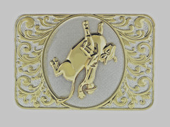 Western Cowboy Cowgirl Men Women State Texas Rode Belt Buckles Gold Silver Metal