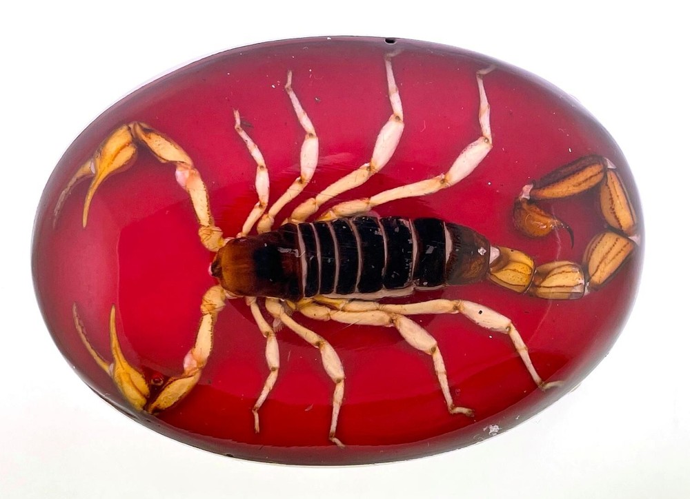 Real Scorpion Belt Buckle Western Cowboy Hecho en MADE Mexico RED Metal NEW MEN