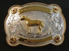 Vintage 20 High Pt Halter 05 Boot Scootin Champ Belt Buckle by Justin