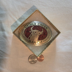 Vintage Metal Belt Buckle, Brass and Silver, Bull, Steer, Cedar Creek Ranch