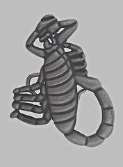 Scorpion Belt Buckle Zodiac Vintage Men Antiqued Brushed Gray Metal Western Gift