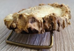 Hand Carved Elk Antler, Mountains, Trees, Cottage Belt Buckle