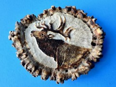 Vintage Elk Antler Belt Buckle Hand Carved M Horvat Western Rustic