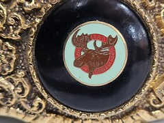 Vintage Loyal Order Of Moose Brass Belt Buckle P.A.P, HOWDY