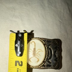 Vintage 1980s Gold Tone Western Belt Buckle Scorpion Cameo Cowboy Unisex