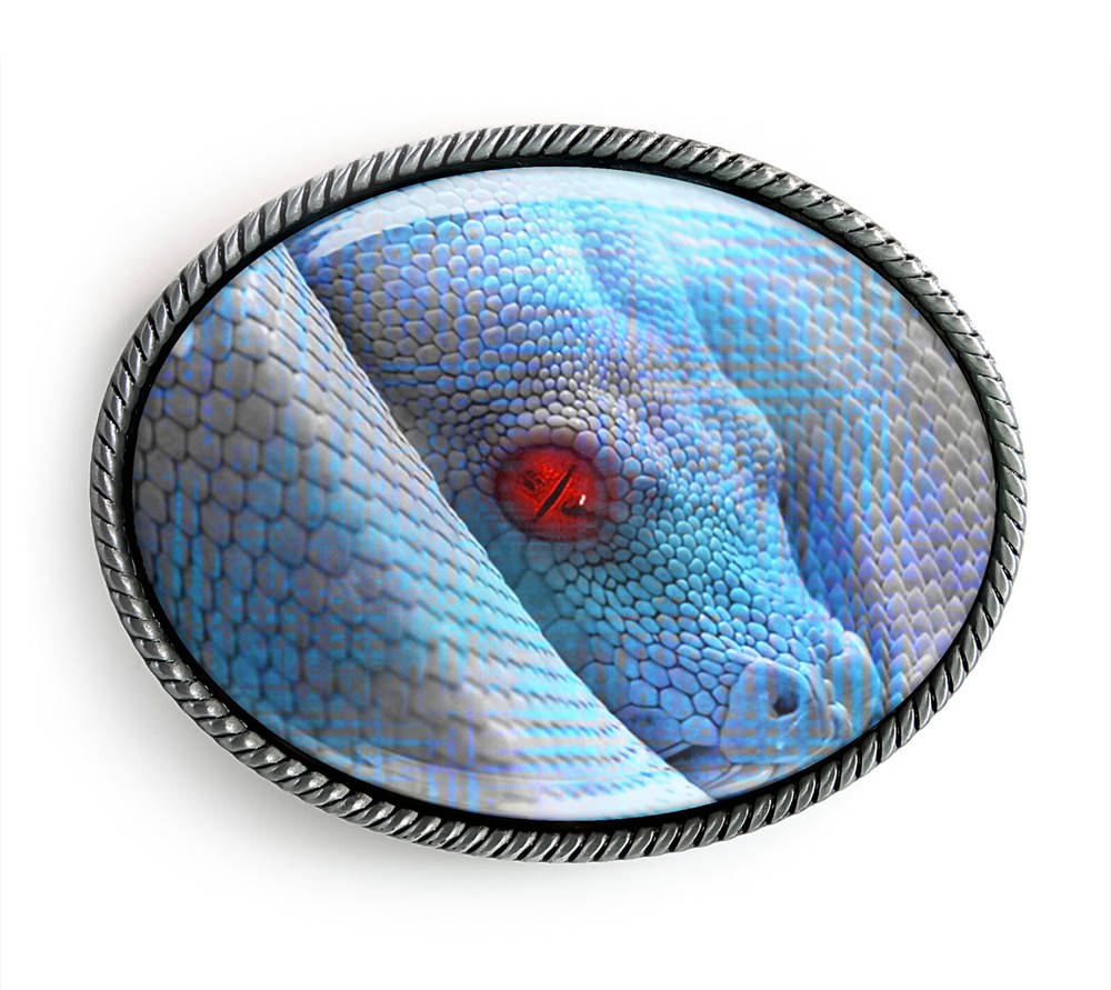 Snake Belt Buckle – Herpetology Reptile Animal Belt Buckle – 364