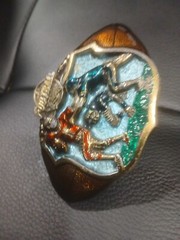 The Great American Belt Buckle Co 1982 Football Serialized solid Brass Enameled