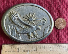 EAGLE SWOOPING HAWK STAR SUN RAYS SHINING MOUNTAINS BELT BUCKLE RAPTOR BIRD