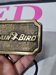 Vtg Rain Bird Logo Brass Belt Buckle Solid Brass