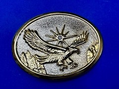 Eagle With Starburst USA Patriotic Belt Buckle Golden Western Bird Wings Cowboy