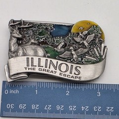 Vintage Collectible 1984 ILLINOIS Pewter and Enamel Belt Buckle by Bergamot
