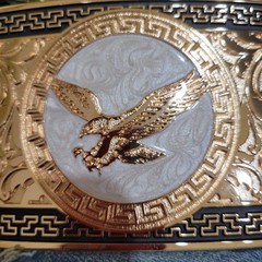 Eagle Western Belt Buckle Hebilla Rodeo Silver & Rosetone 4x 3.5 Inche