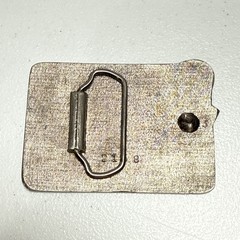 Sex is Like Snow,You Never Know How Many Inches or How Long It Lasts Belt Buckle