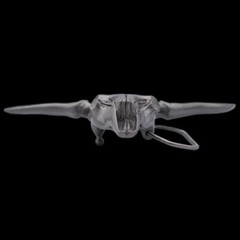 Longhorn Bull Skull 3D Belt Buckle